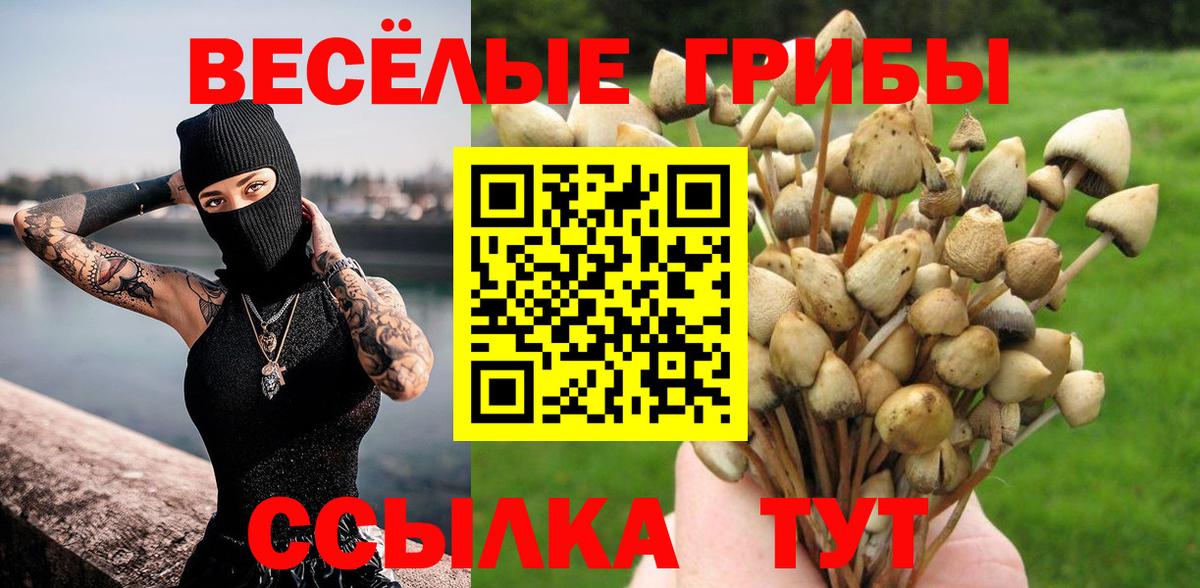 Татарск  Галлюциногенные грибы GOLDEN TEACHER  Псилоцибиновые грибы мицелий  Вход с VPN 